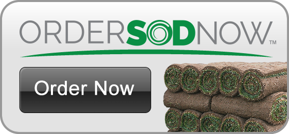 OrderSodNow Button