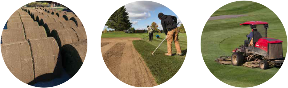 Sod/Seed Preparation, Sod Installation, Turf Recovery 