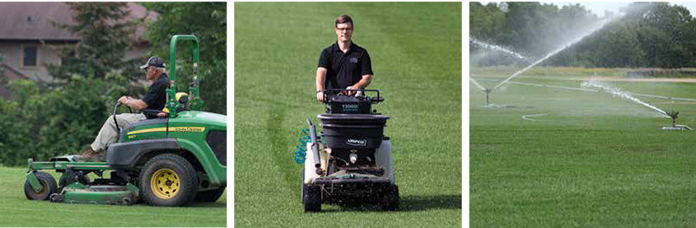 Take Advantage of Our Lawn Care Expertise