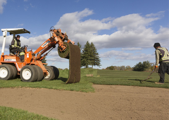 Golf Course Sod