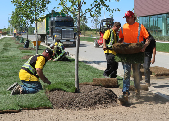 Finish Your Job with Sod