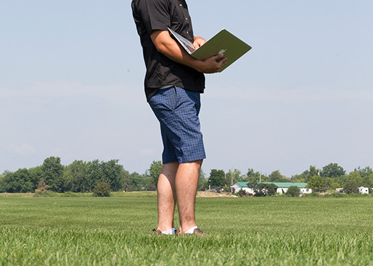 Research & Development