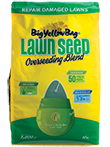 Professional Overseeding Blend