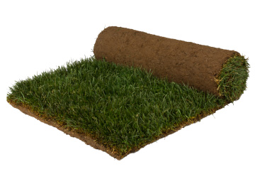 GHG Premium Bluegrass