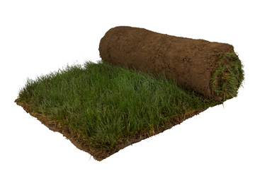 GHG Eco Solutions: Pure Fine Fescue